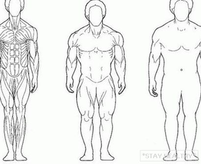 Як збільшити м'язи без стероїдів
