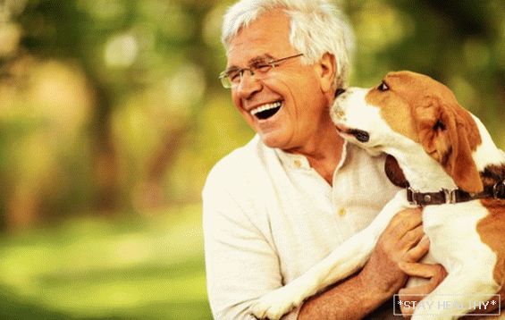 Чому власники собак живуть довше?