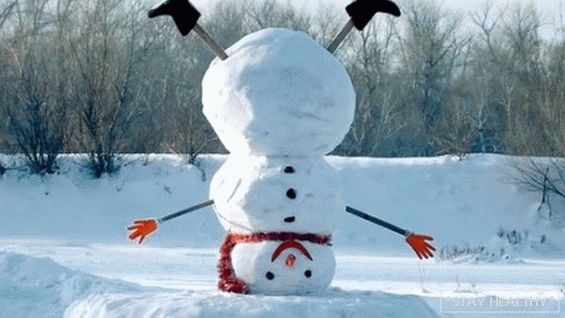 Сніговик - хто і коли його придумав, чому його боялися наші предки. Навіщо у сніговика морквина замість носа?