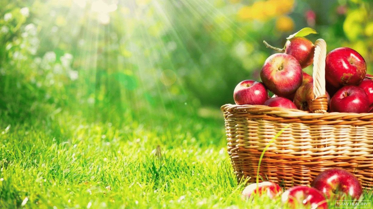 Яблучний розвантажувальний день для схуднення:варіанти та відгуки